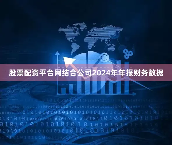 股票配资平台网结合公司2024年年报财务数据