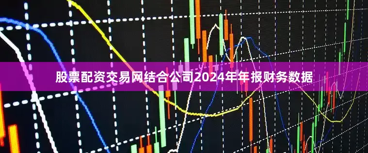 股票配资交易网结合公司2024年年报财务数据