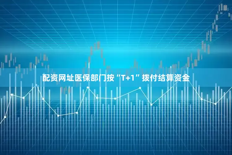 配资网址医保部门按“T+1”拨付结算资金