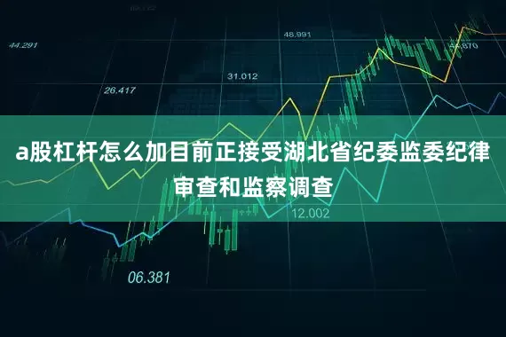 a股杠杆怎么加目前正接受湖北省纪委监委纪律审查和监察调查