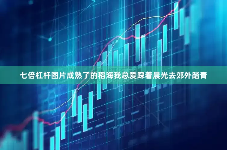 七倍杠杆图片成熟了的稻海我总爱踩着晨光去郊外踏青